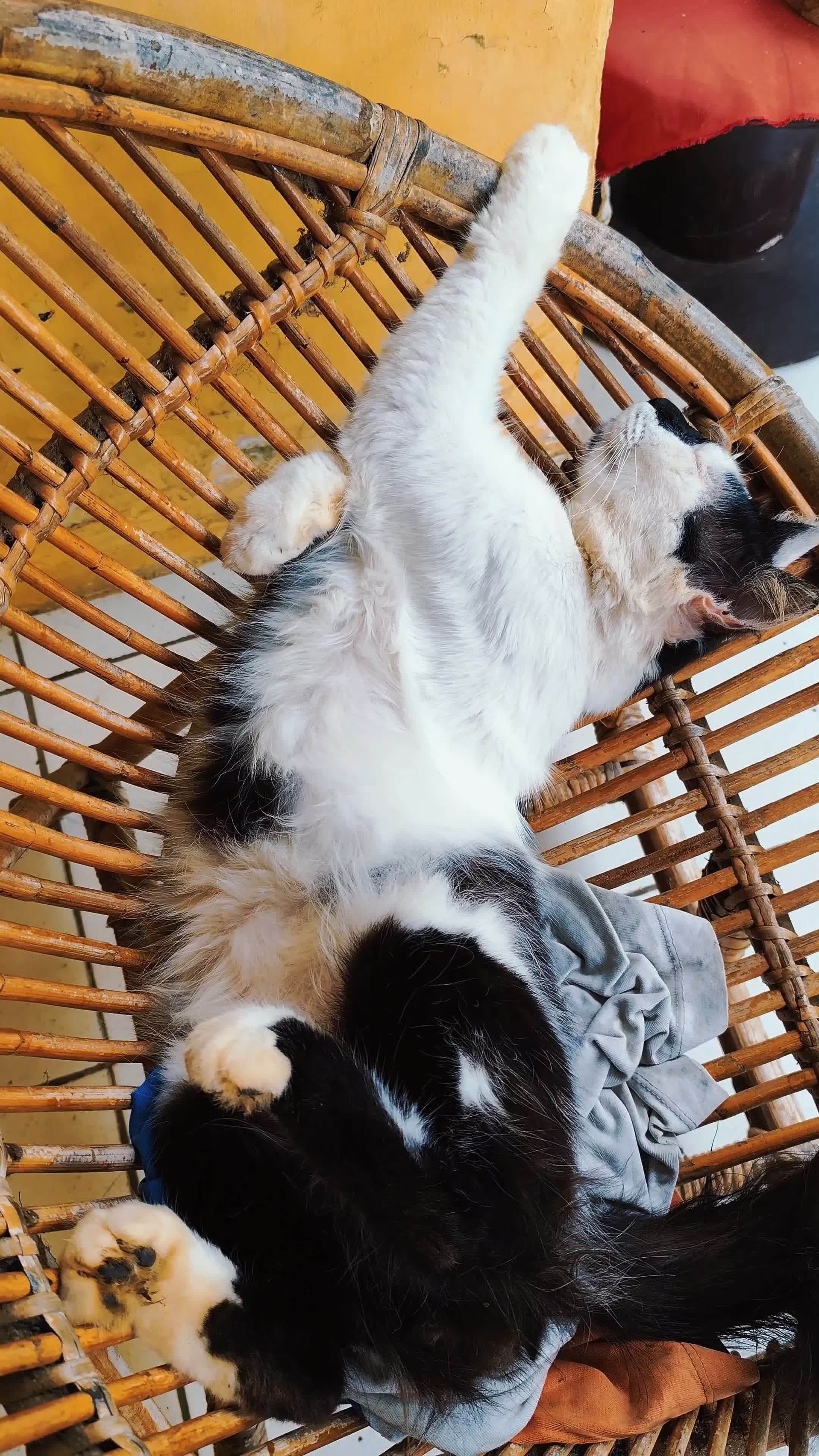 Nyenyak  #RCTIPlus  #komedi 