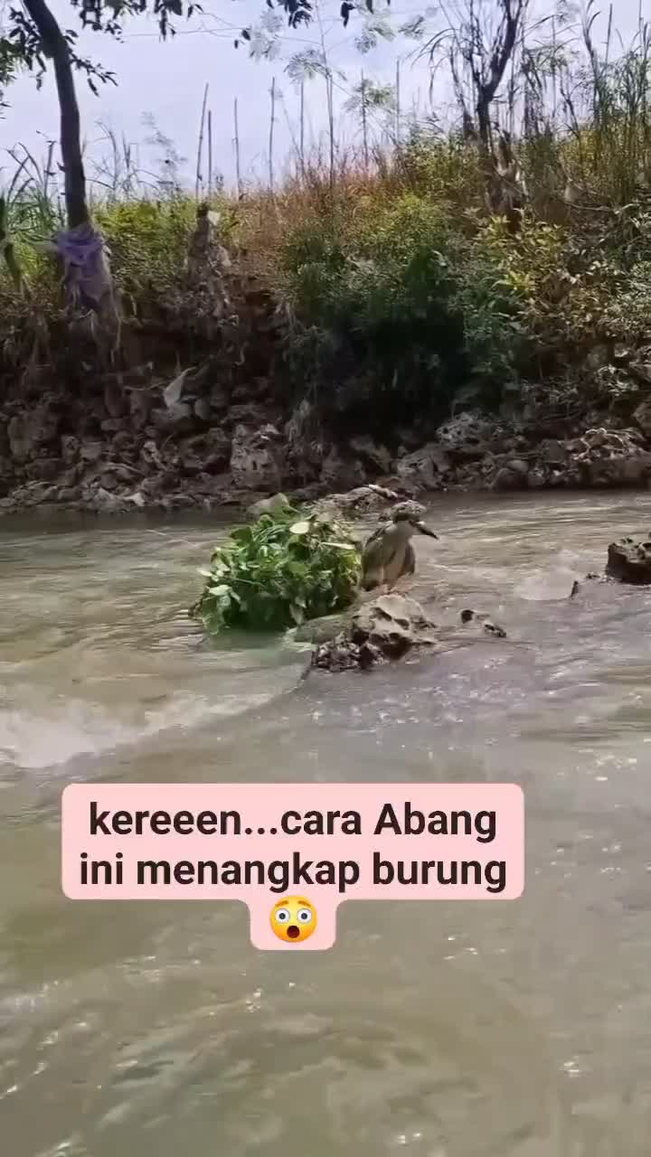 😅😅😅