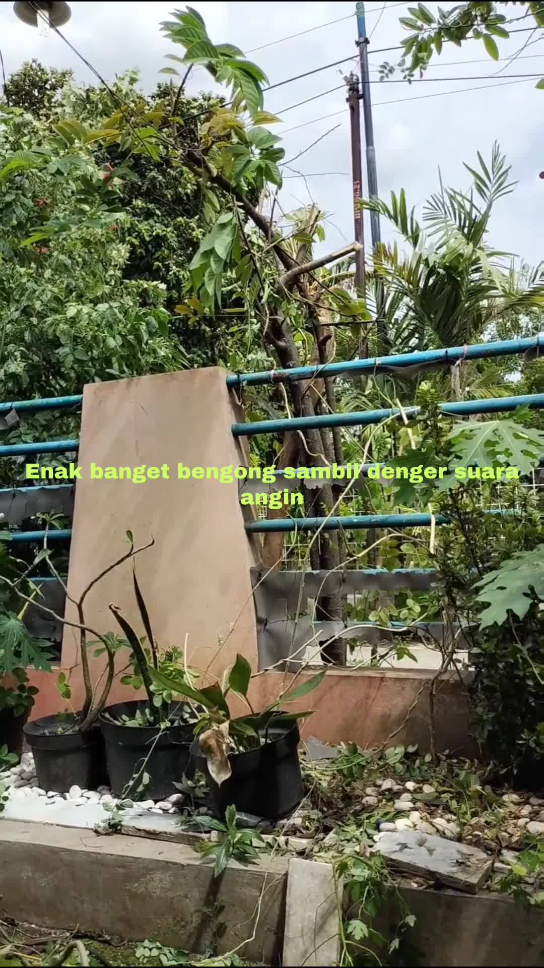 Edisi liburan mager