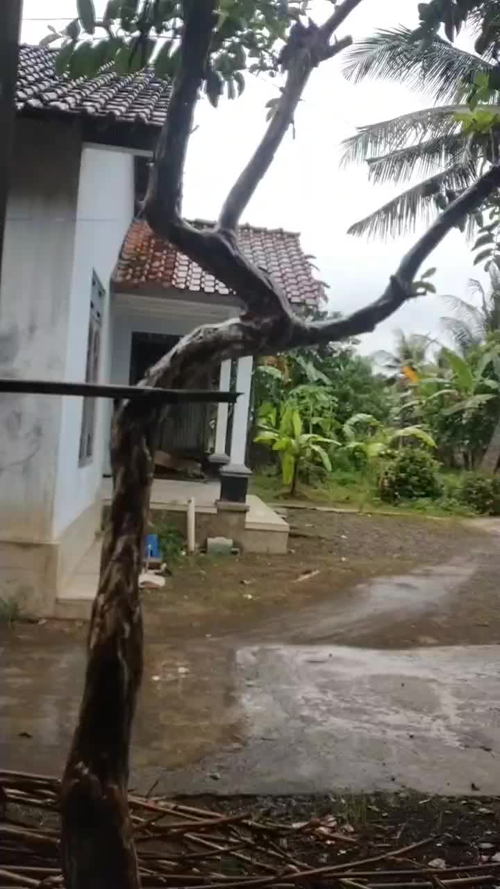 seharian mendung tipis tipis grimis