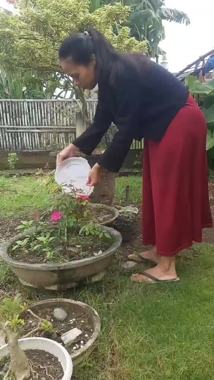 PUPUK ANDALAN EMAK-EMAK

#aircucianberas #pupukorganik #berkebundirumah 