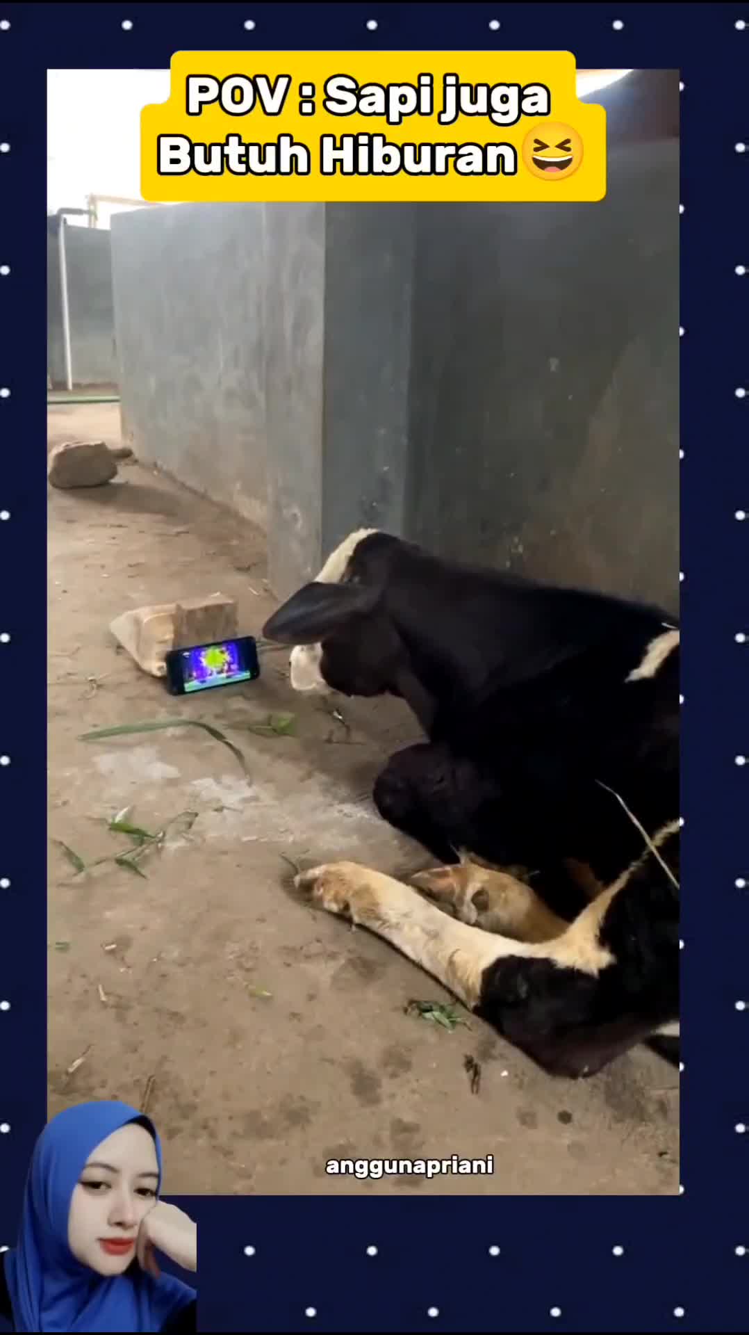 sapi juga butuh hiburan😆#videolucu #humorchallenge #lucu #ngakak #fyp #Viral #trending #fypシ゚viral 