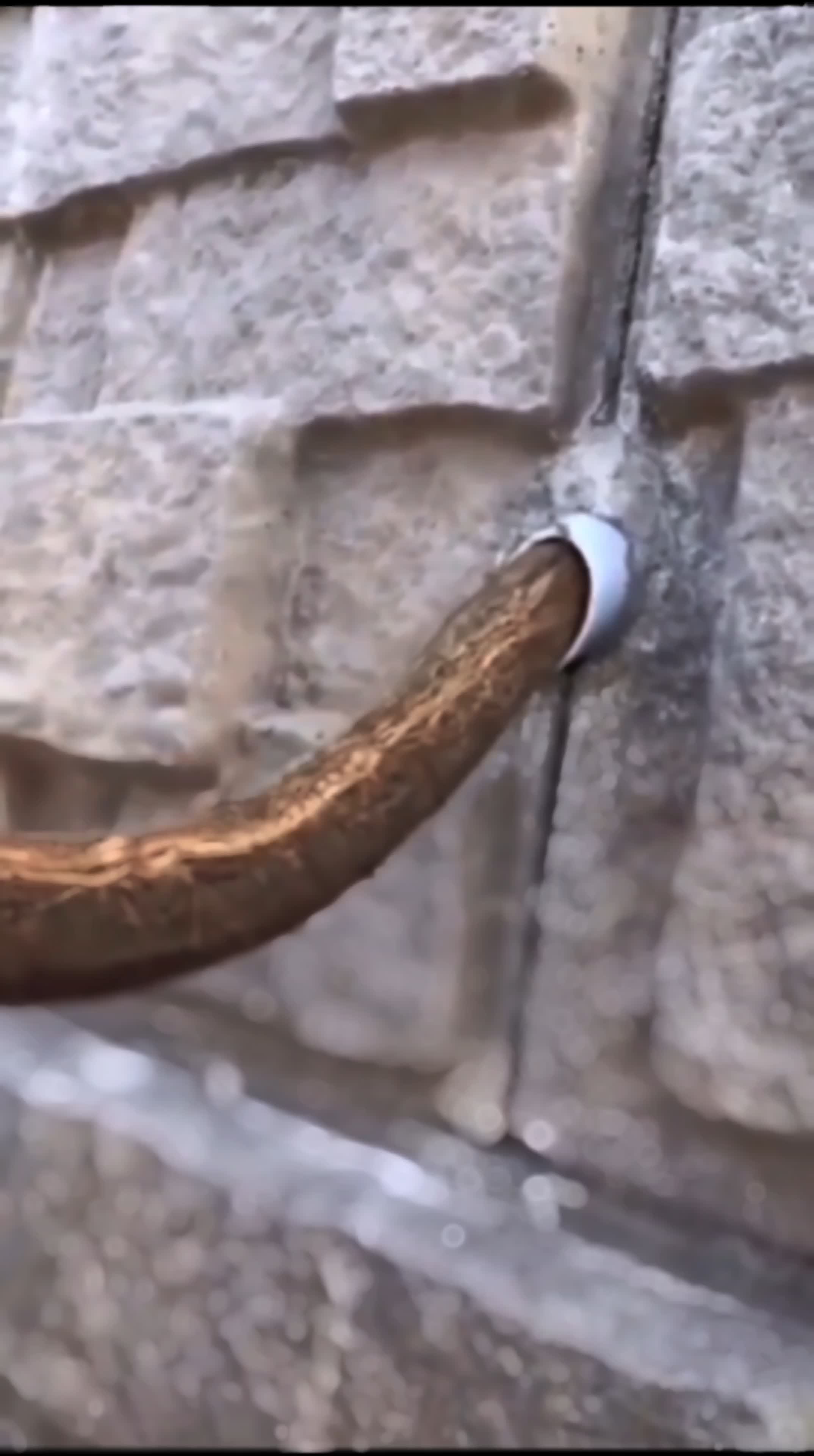 you kidding me #RCTIPlus 