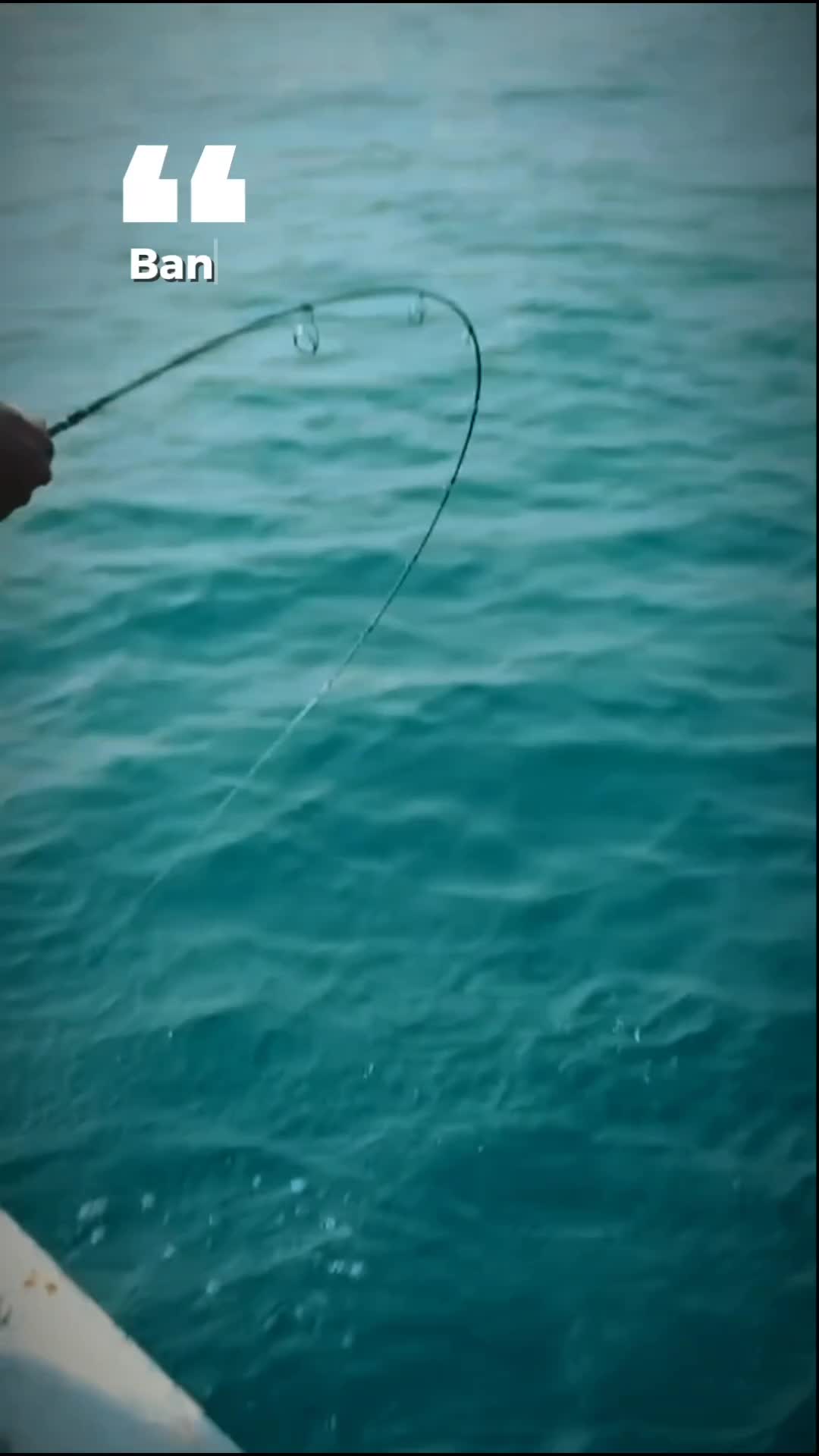 Cara mancing bandeng baik tambak maupun liar  #mancing #mancingbandeng #caramancing 