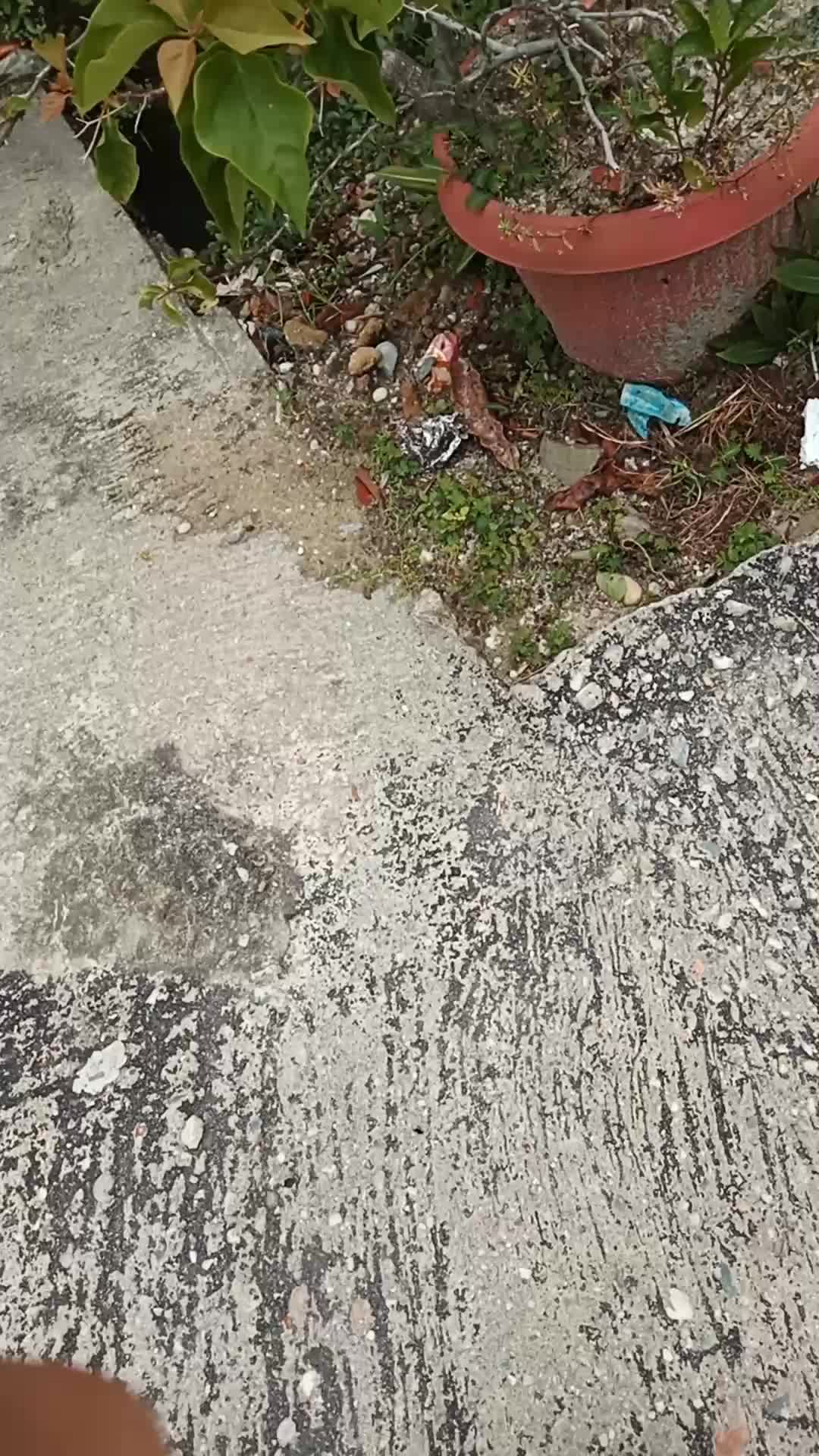 lagi seneng²nya jalan kesana kemari #fyp  #fypシ゚viral  #beranda 