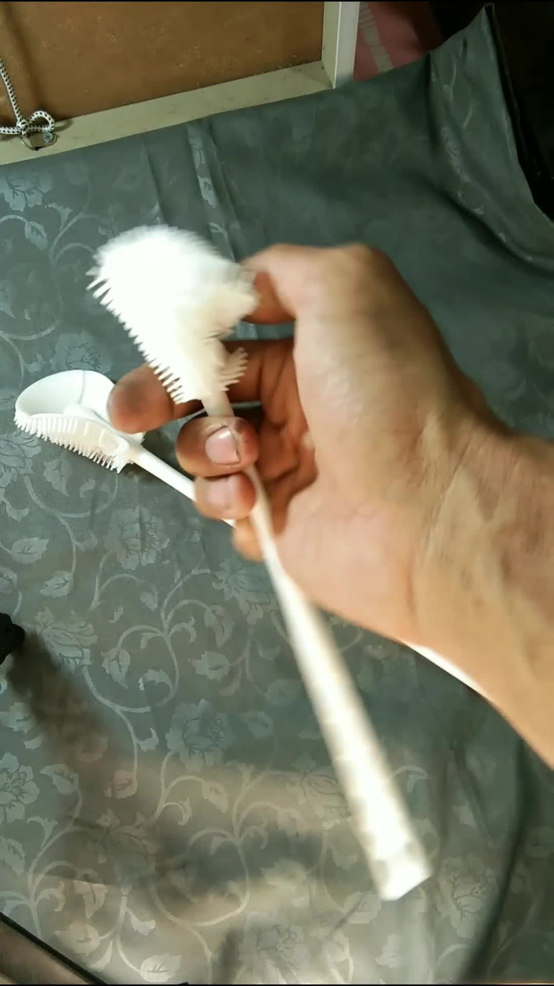 Wajib punya dirumah  #MyFirstVideoOnHot+  #RCTIPlus  #HOTrctiplus 