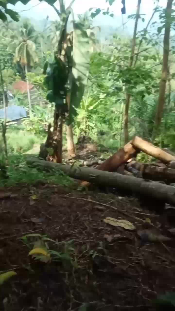 mulai kerja