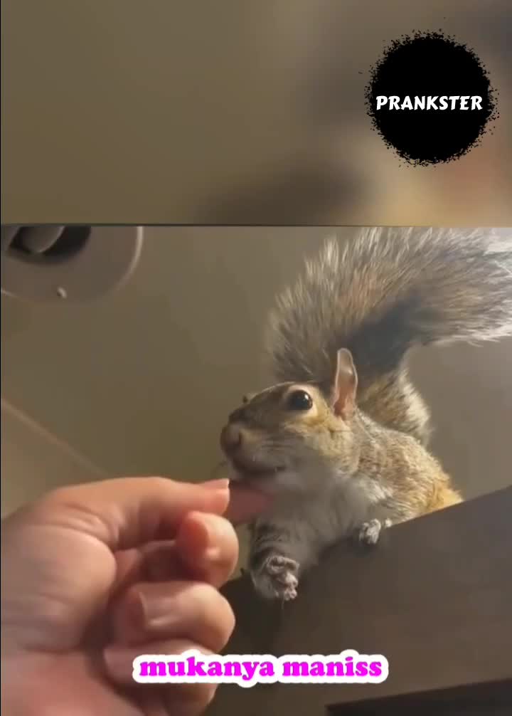 #422 Ngambek nih ye🤣
#videolucu #prank 