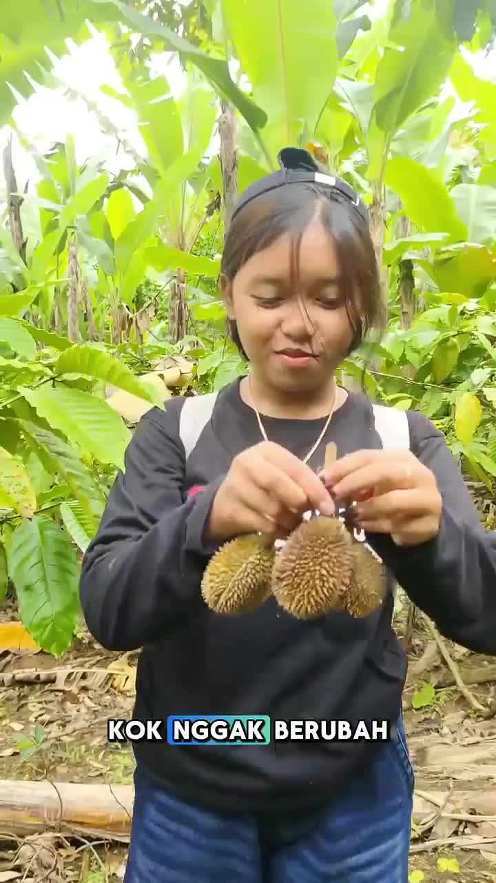 #fyp #foryou

#RCTIPlus

#HOTrctiplus

#trending #singing