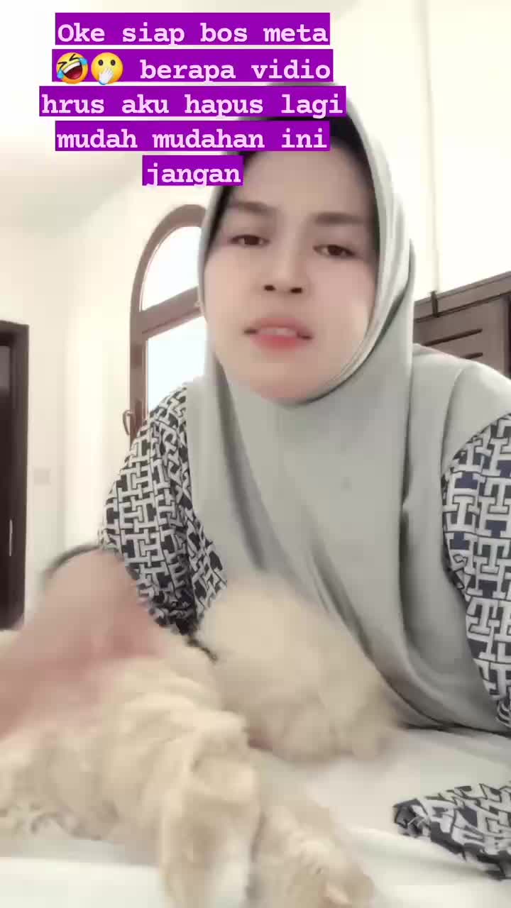 kucingku  yg sangat pintar

 #kucingpintar