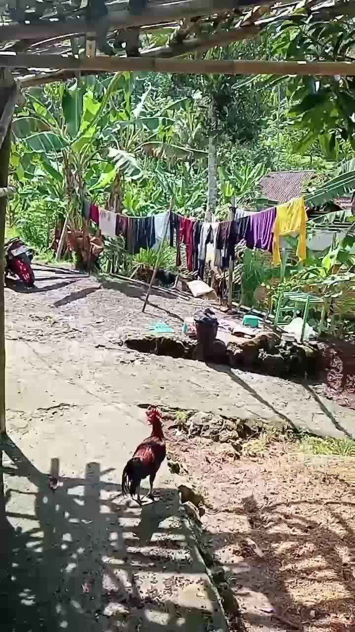 rumah ku yg sederhana di kampung Tasikmalaya sejuk dan damai😁