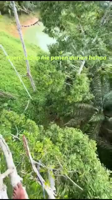 seru nie panen duren 😱😂
 #RCTIPlus  #HOTrctiplus #fypシ゚viral 