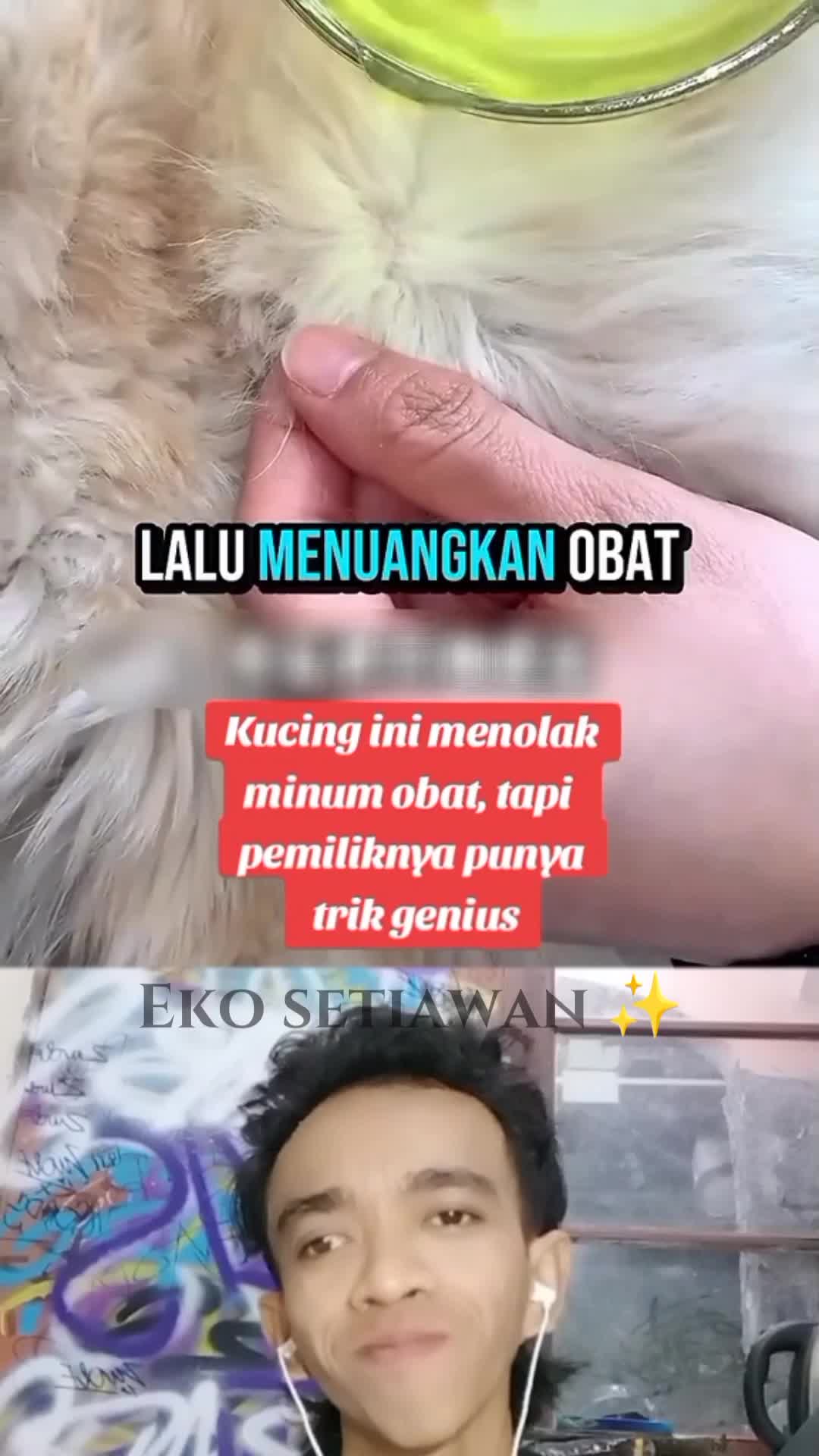 kucing ini menolak minum obat ⚠️