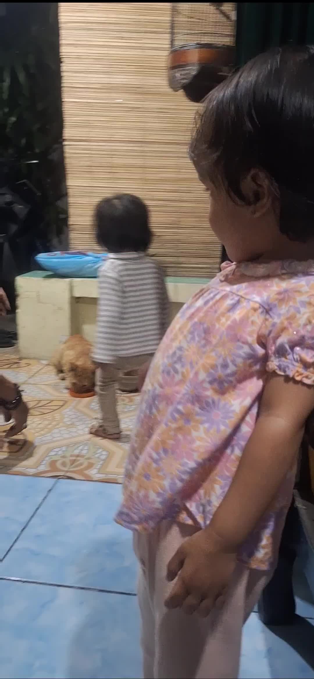 POV:
Ketika Toddler akur 😂😂😂 
part 2


#toddler #toddlerlife #toddlermom #toddleractivity #fyp #video #reels