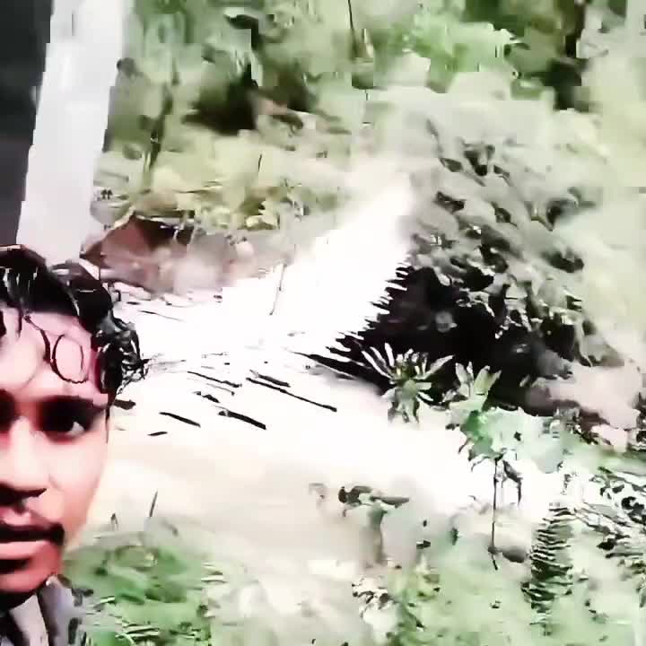 ceritaku guru pendalaman papua pengunungan yahukimo  #yahukimo #angguruk #papuapengunungan 