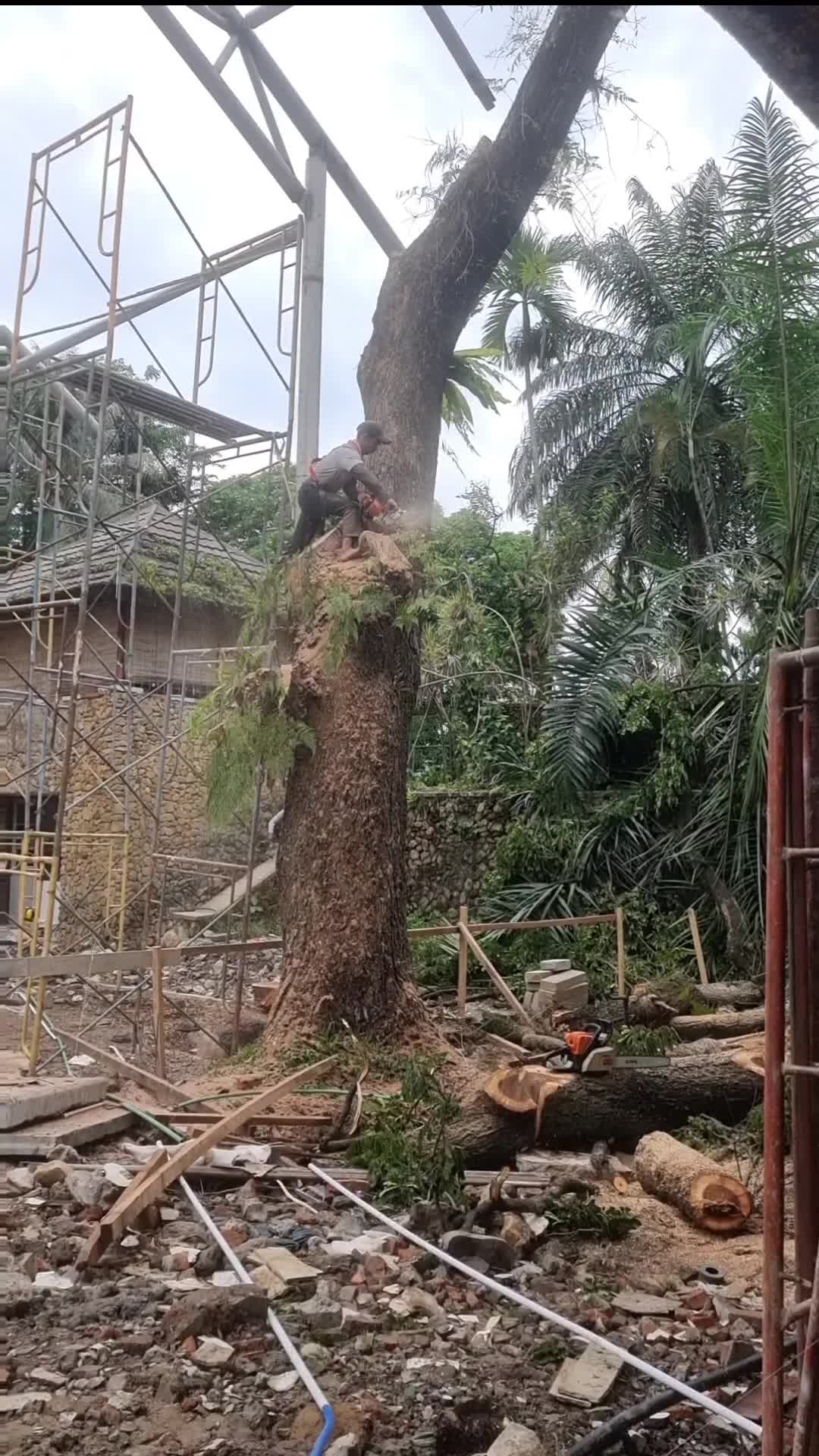 Biar gak salah langkah #viral #beranda #fyp #shorts 