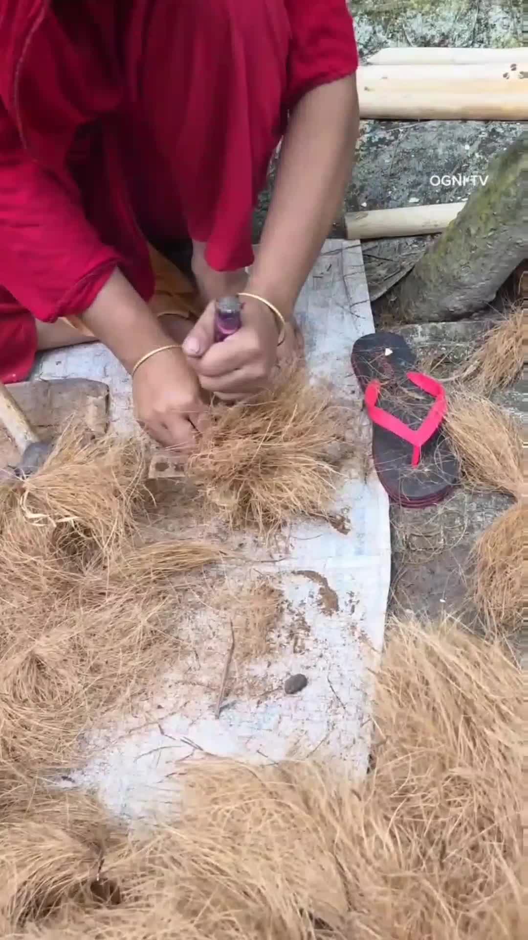 Nggak Nyangka Serabut Kelapa Bisa Jadi Sikat ?  #shorts 