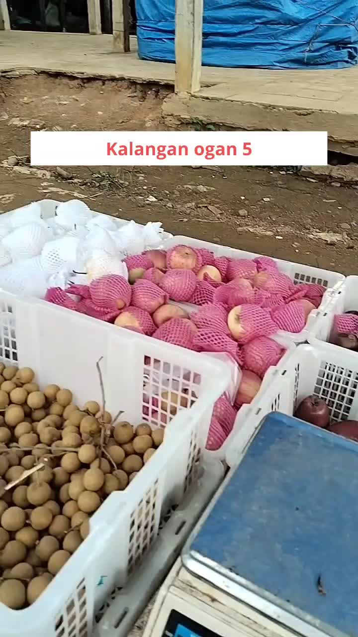 nunggu lapak di pasar dulu guys.. 
#viral
#sorotan
