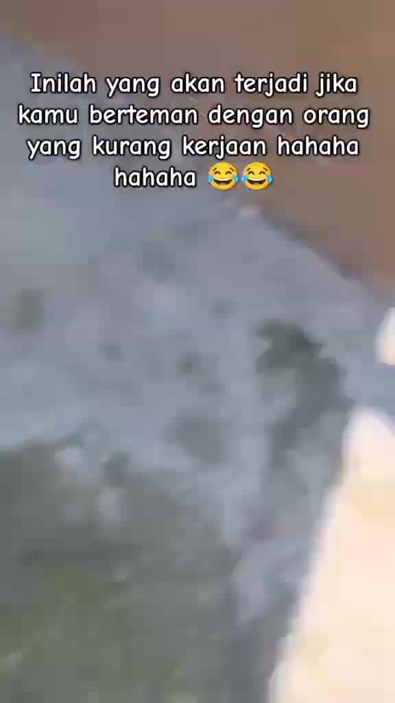 bbh
