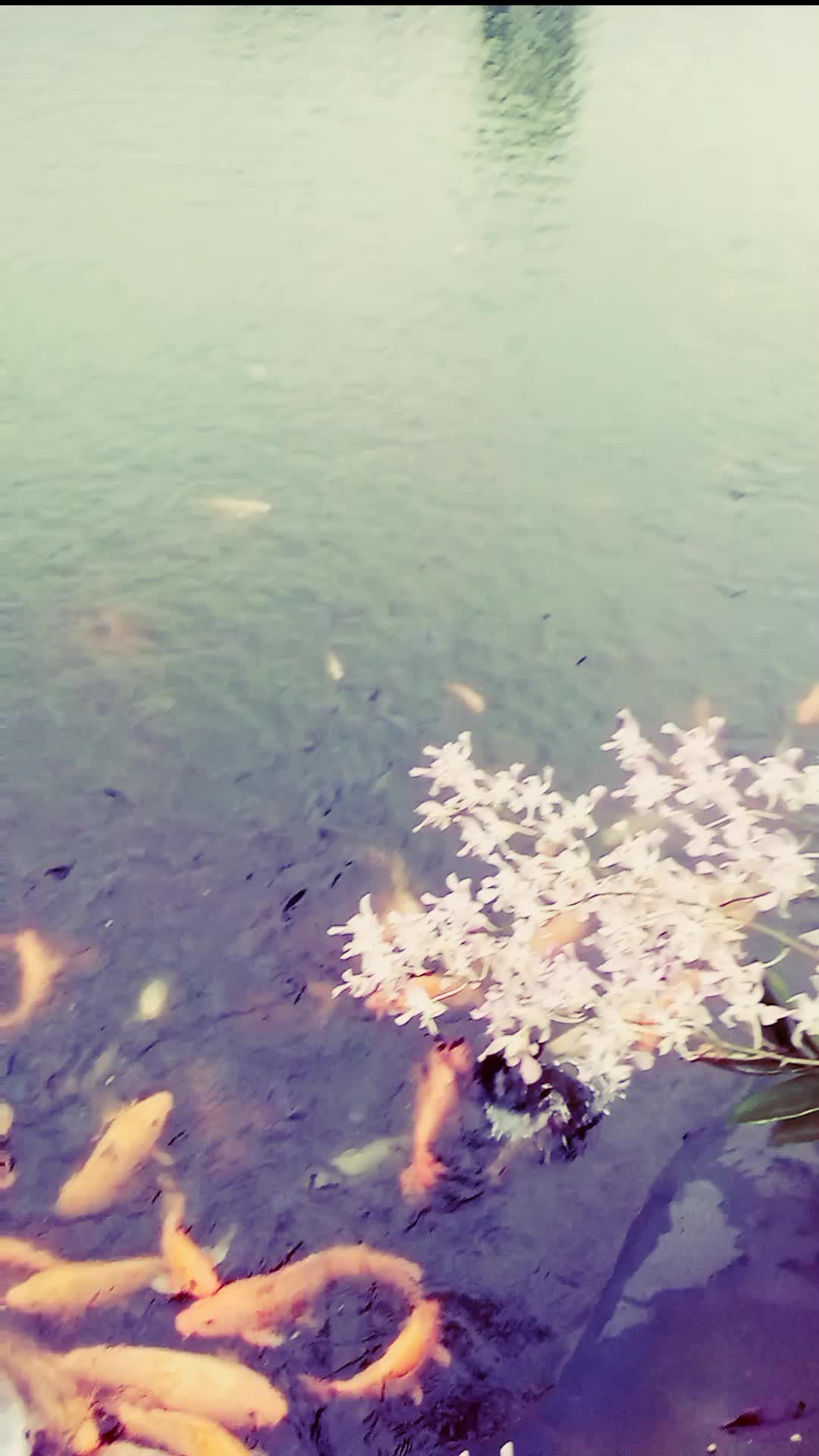 hari yang indah # # #