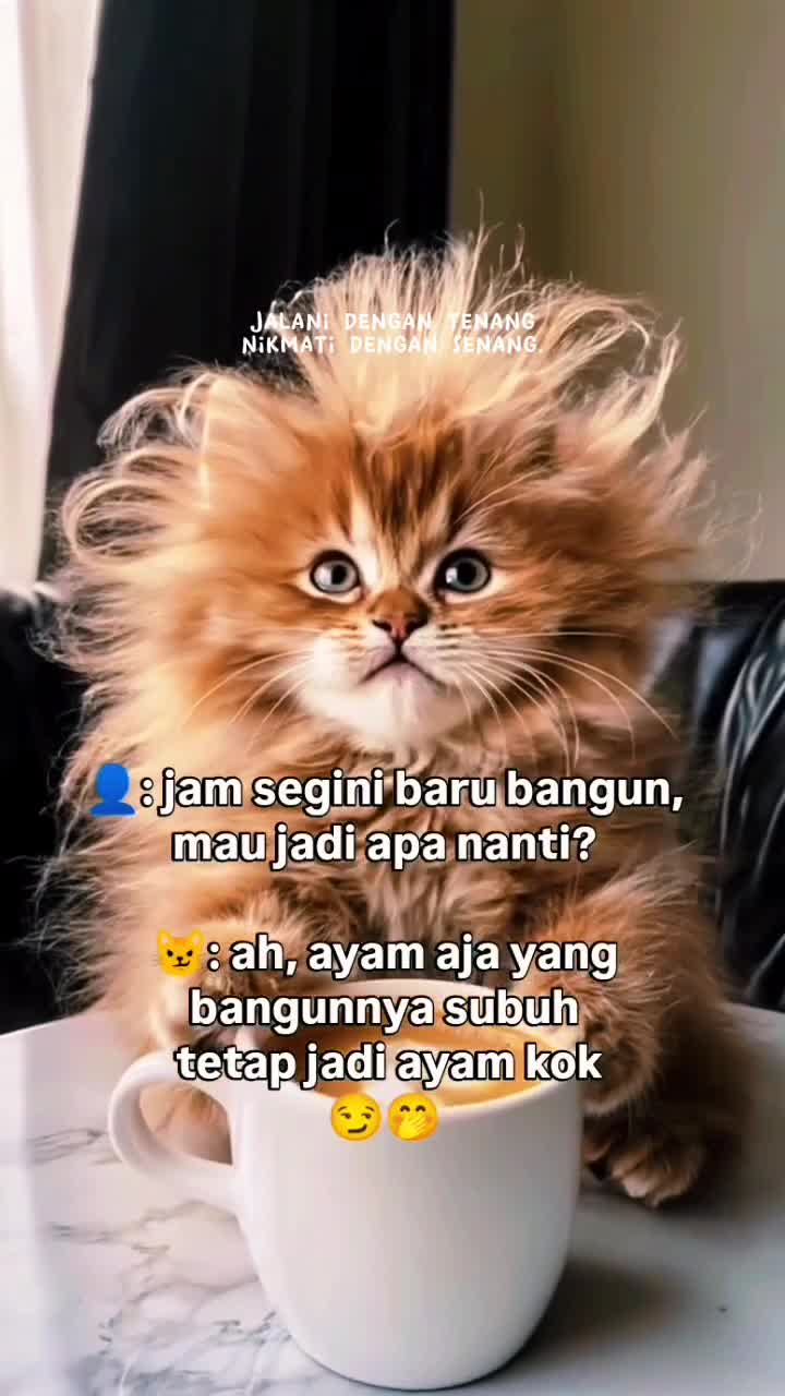 Kucing yang menggemaskan..
 #kucinglucu #hiburan #RCTIPlus #RCTIoke 