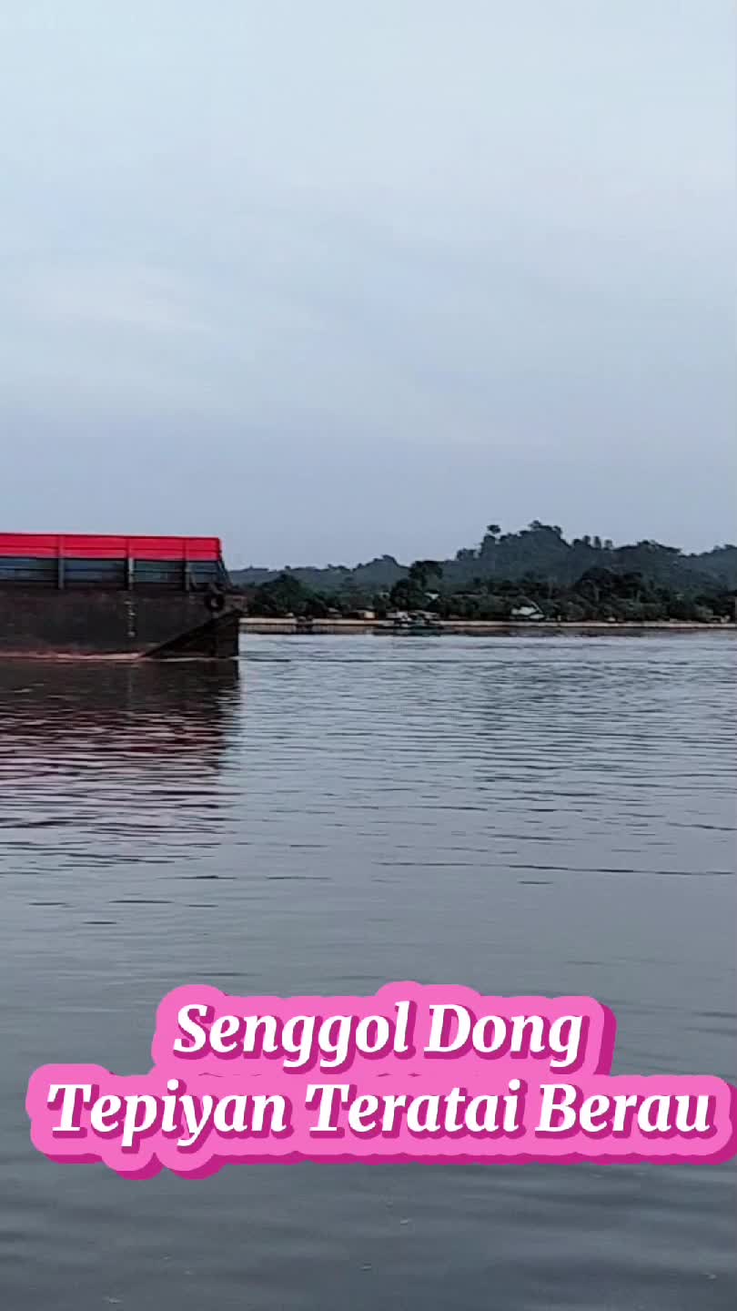 dermaga tepiyan teratai Berau Kalimantan Timur  #dermaga  #kapal  #batubara  #kalimatantimur  #berau 