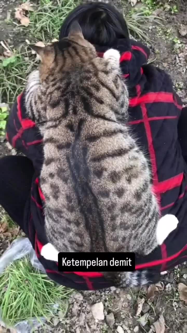 Ada Khodam...
#Fyp #kucing #kucingindonesia #videoviral #videolucu #videongakak #ngakak #lucu #like #dagelan #HOT