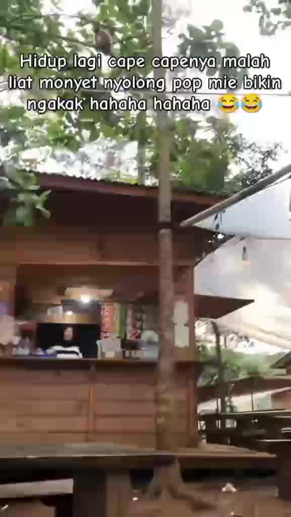 bbb