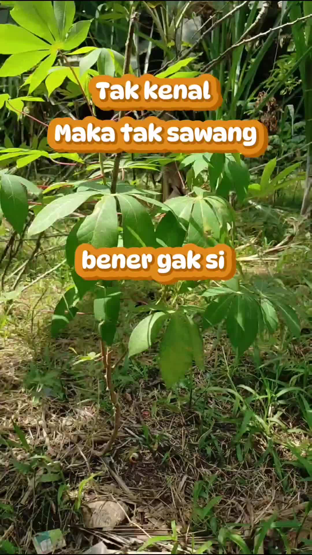 iya apa iyo guys  #fyp  #vidiolucu  #RCTIPlus  #semuaorang 