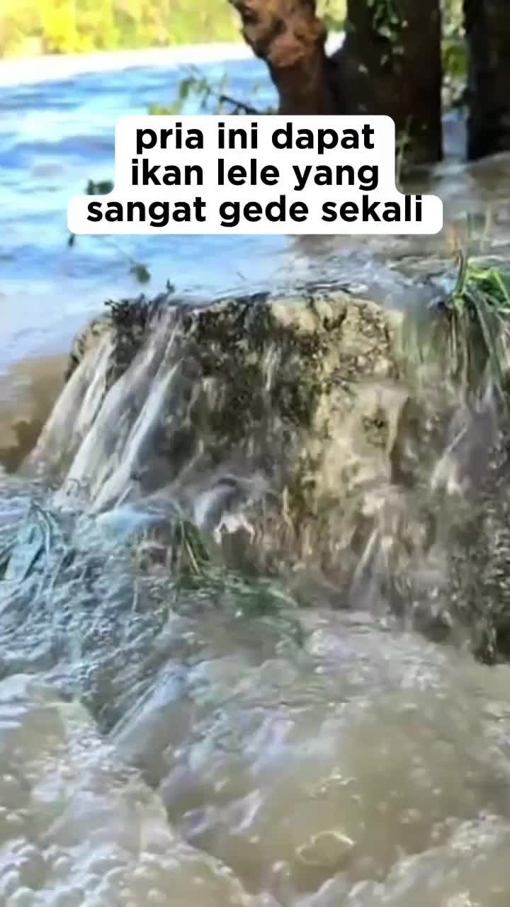 dapat ikan gede  banget