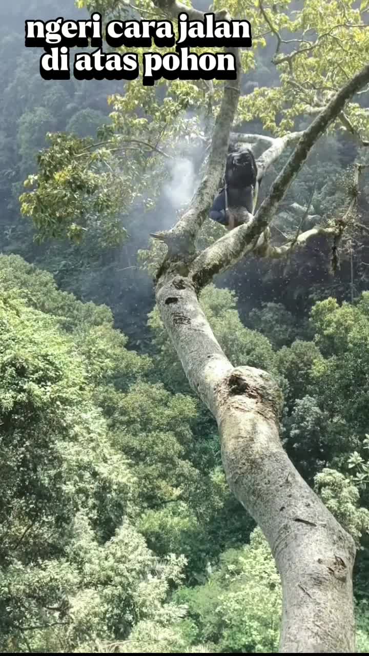 jalan atas pohon ngeri  #shots  #fyp #madu #MaduHerbal #panenmadu  #hutan 