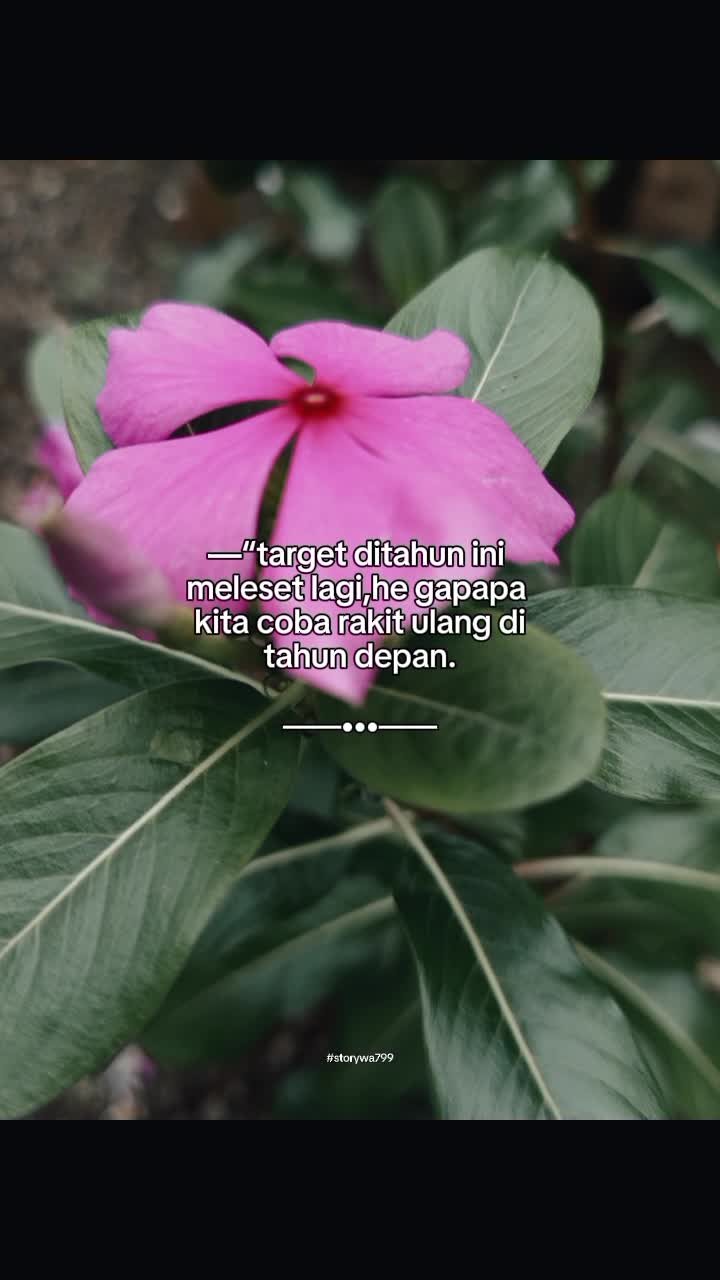 jangan pernah menyerah