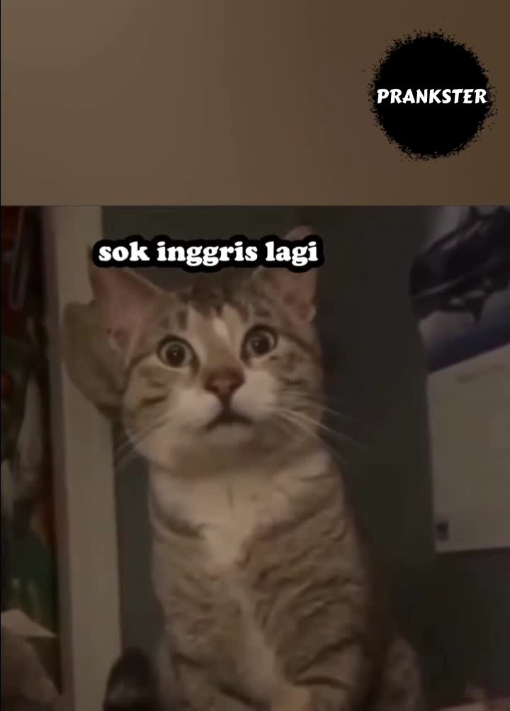 #347 Anjay🤣🤣

#videolucu #prank 