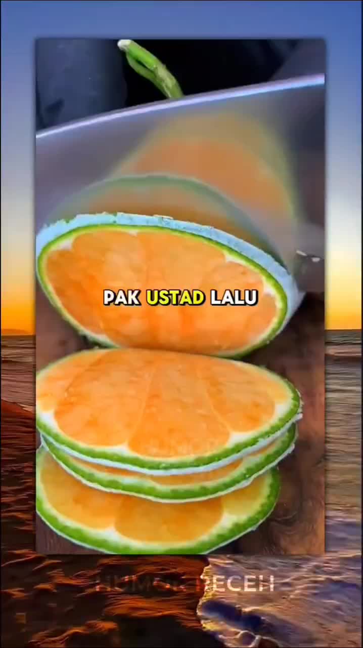 cover-image