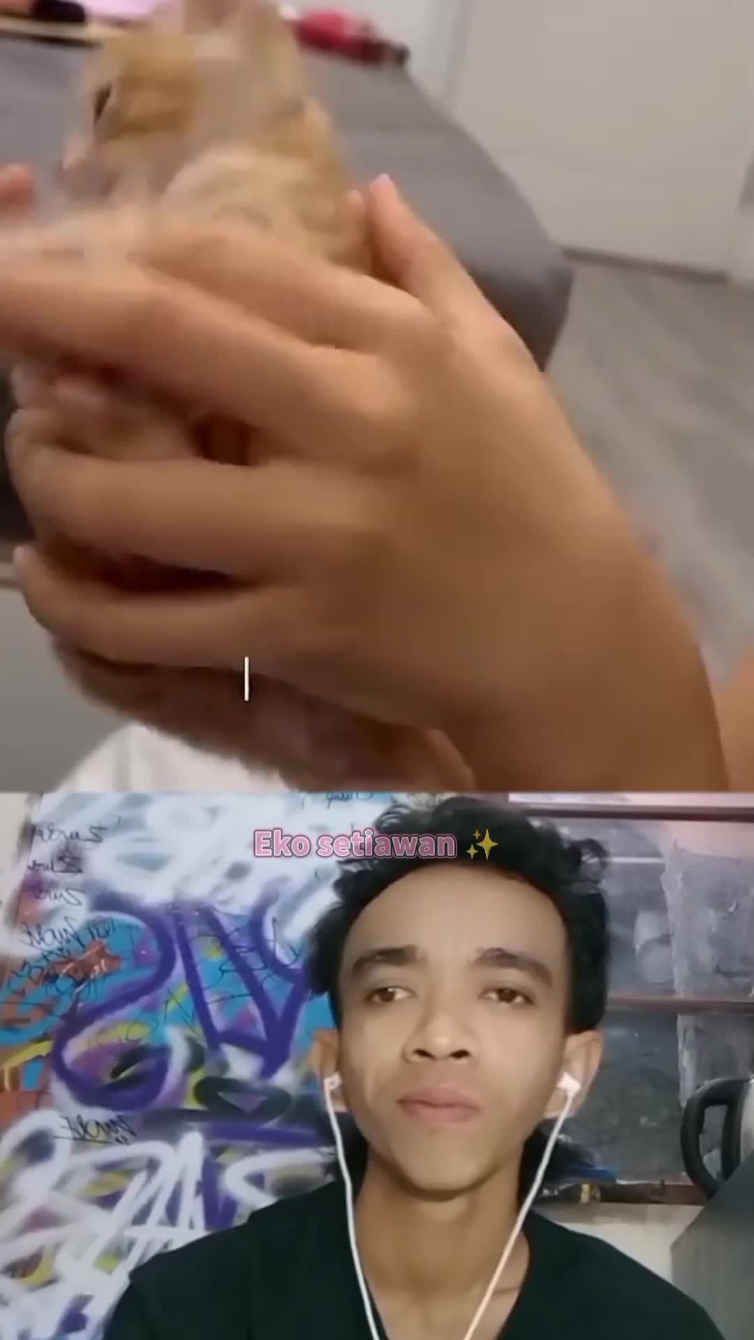 kasian sekali anak kucing ini kaki nya terluka parah 🥺 