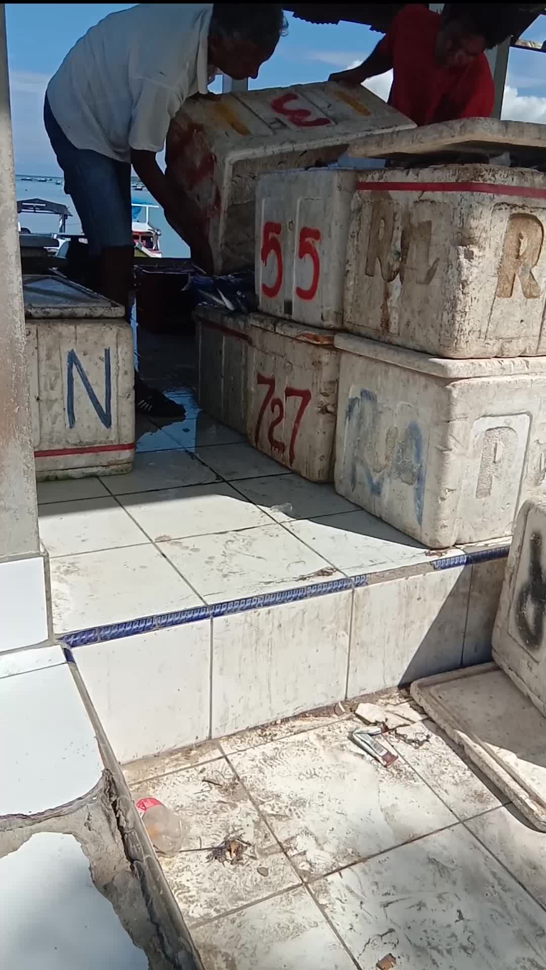 Proses pembongkaran dan packingan ikan di TPI pelabuhan Boepinang Bombana