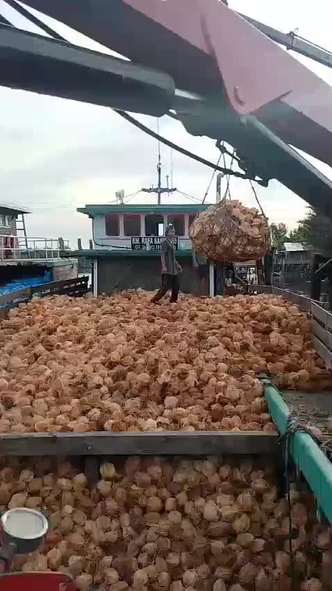 proses muat kelapa sawit  #fyp 
