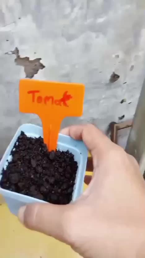 Ngecek Kids Garden Kit setelah beberapahari unboxing #kidsgardenkit #menanamdirumah #berkebun #kebunshaka  