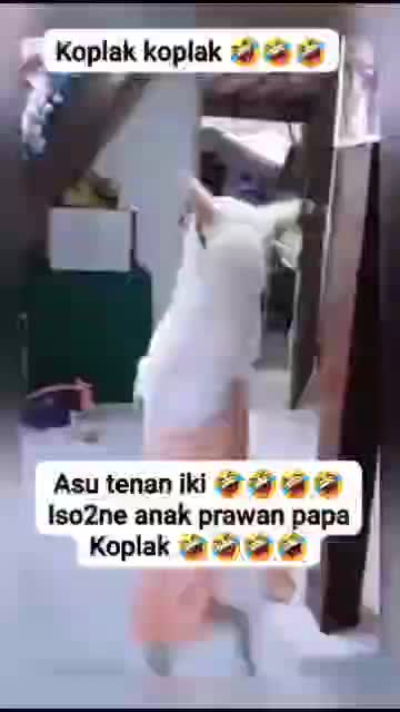 🤣🤣🤣 koplak  #lucu 