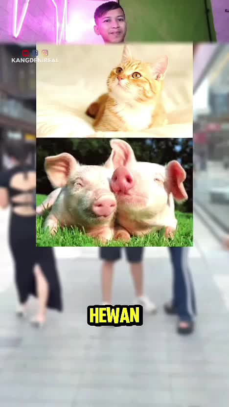 lihat  #RCTIPlus  #HOTrctiplus  #RCTIoke  #rcti 