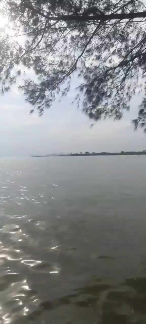 ngapain repot#ngapainrepot#laguviral#liriklagu#pantai#