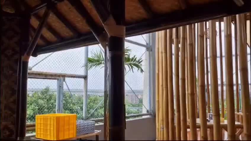 #RCTIPlus #HOTrctiplus 