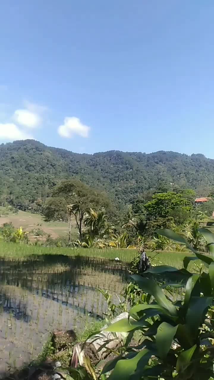 tidak ada yg sia sia didunia ini
#pemandangan yg indah 