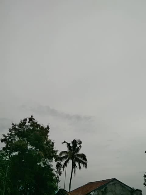 pagi yang cerah  #kampung halaman  