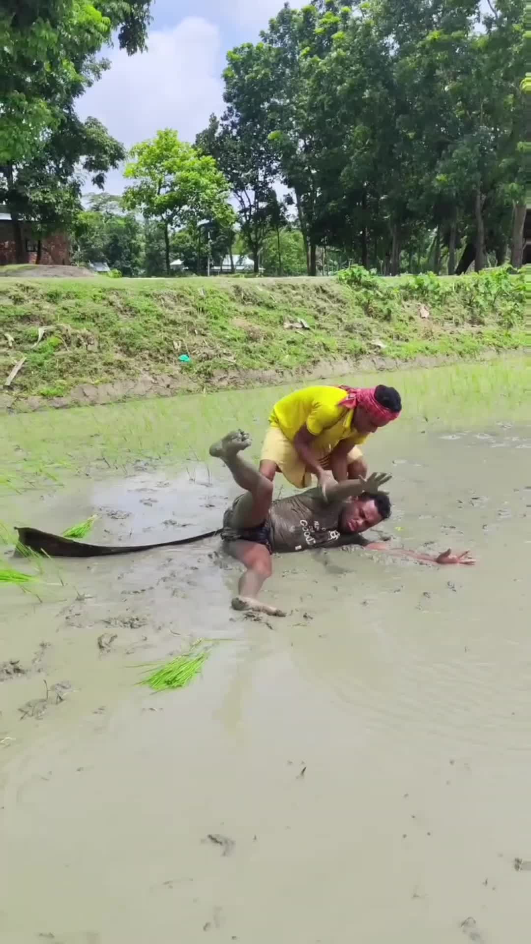 kirain ular #videolucu  #lucu 