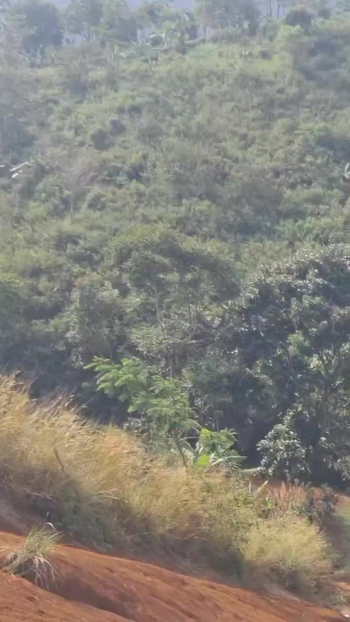 Hiburan hutan
 #trailadventure
 #AdventureTime 