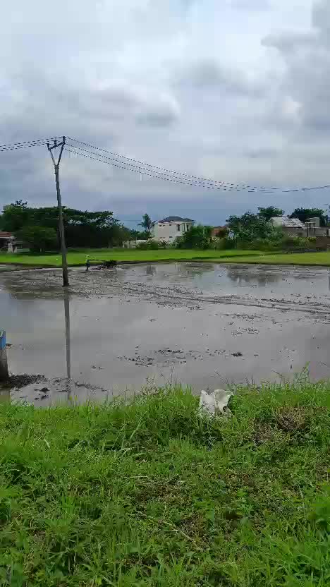 Job di kampung #pesawahan