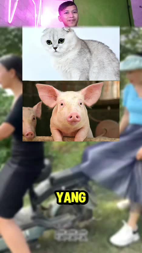 apa yang akan terjadi 