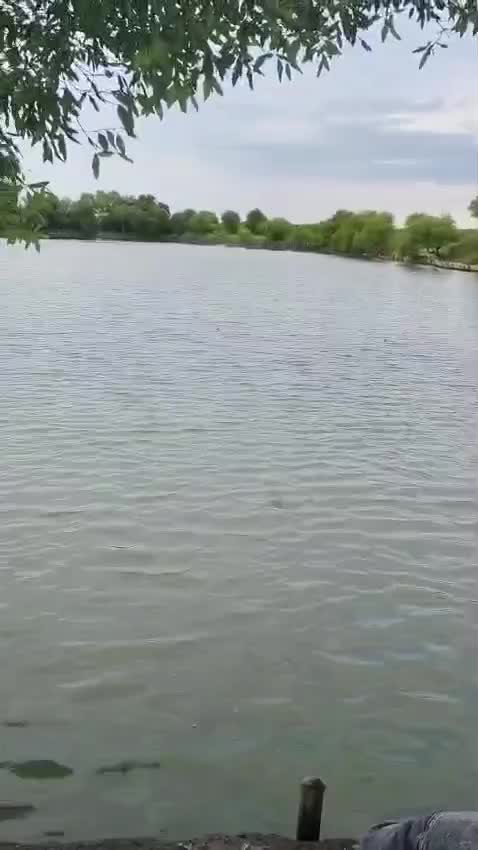 suasana mancing 