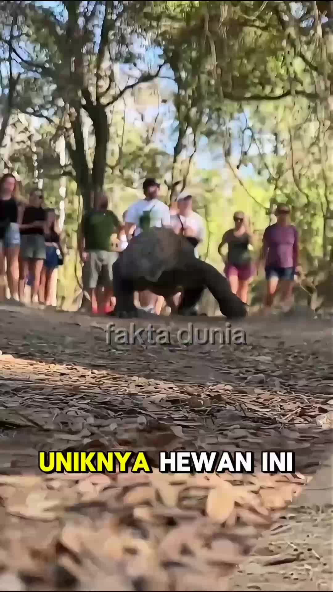 komodo hewan peninggalan purba